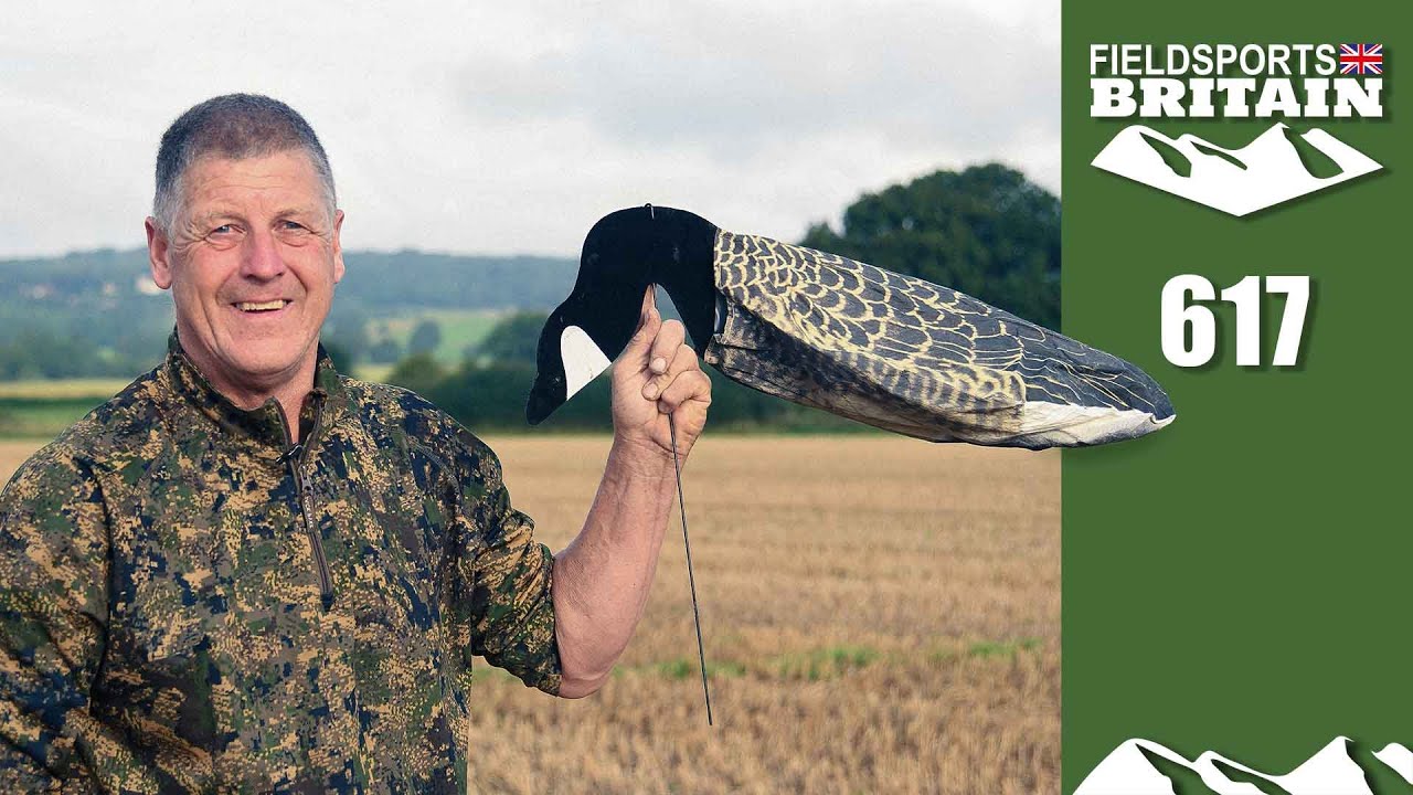 Download Fieldsports Britain – Crowy's big bird ambush