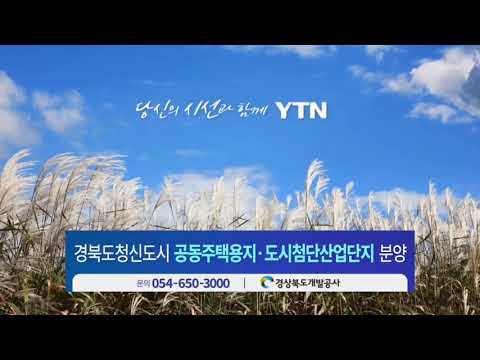 YTN ID 억새밭 2025 11 17