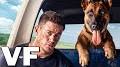 Video for my dog skip streaming vf