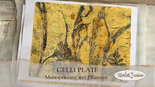 GELLI PLATE  Monoprinting mit Pflanzen