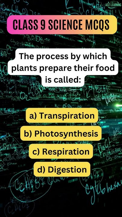 the-process-by-which-plants-prepare-their-food-is-called-school