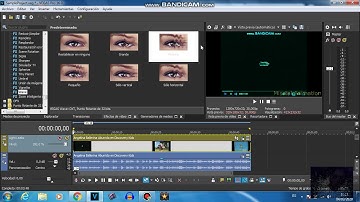 How To Make a Dizzy Major on VEGAS Pro 16
