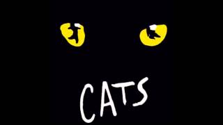 Cats: 7- Grizabella, The Glamour Cat chords