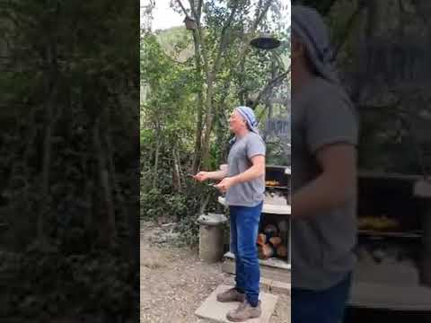 ربيع بودن حتى فالغابة تبعو في زبي