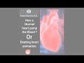 Animation  of heart beating || Animation of double circulation || How Blood flow through heart ||
