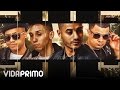 Jowell y Randy - Me Gustas Tanto ft. White Noise‬ & ‪D‬-Anel (cover) [Official Audio]