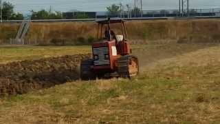 FIAT 1355 C ARATURA AZIENDA SANTI ANZOLA EMILIA BOLOGNA