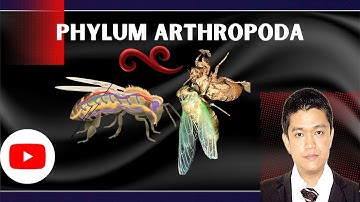 VET PARA 1 | Phylum Arthropoda (Part 2) | Chapter 3