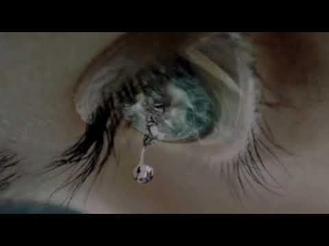 كمية الأسى والحزن الدي بات ينهك قوى العشاق قصيدة راحلتي من تأليف الشاعر الطموح أحمد بياض 