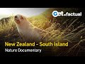 New Zealand - Wild at Heart | Full Nature Documentary