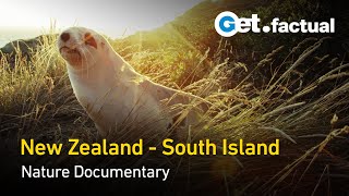 New Zealand  Wild at Heart | Full Nature Documentary