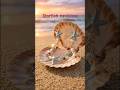 Trending starfish necklace everyone loves. #jewelryshort #summerjewelry #hanvine