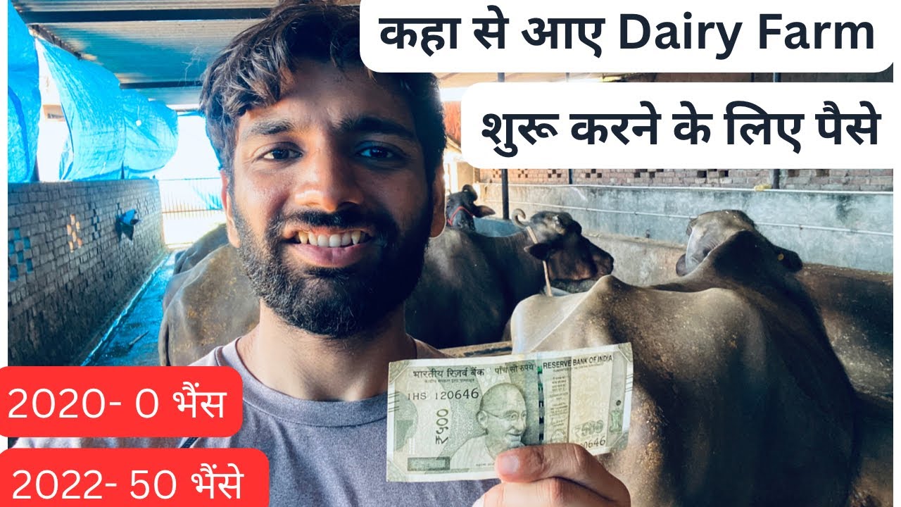 कहाँ से आए Dairy Farm शुरू करने के लिए पैसे ॥ How We Got Money To Start