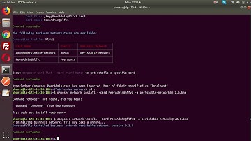 Hyperlegder Fabric -  Deploy a business network archive (BNA file)
