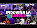 Indovina la lingua con blur e nezak gioee manuuxo marza e kok