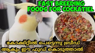 Cockteil Breeding Formula | Best Food,Cockteil Breeding Foods #aviary #cockatiel #breedingformula