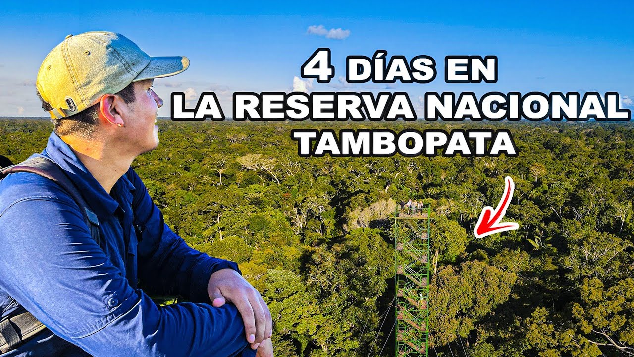 4 días en LA SELVA MÁS BIODIVERSA del planeta: RESERVA NACIONAL TAMBOPATA | Jordy aventurero