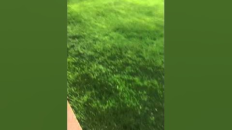 Proto reflex rail shooting