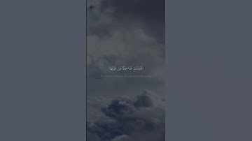 فَتَبَسَّمَ ضَاحِكࣰا مِّن قَوۡلِهَا | محمد صديق المنشاوي | سورة النمل {١٩} | نهاوند