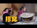 天气越来越冷，幺儿担心冻坏毛狗，贴心搭个暖窝【农村小英子】