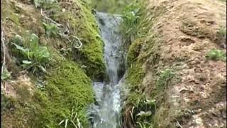 Karaisalılı Borhan Usta - Gitti Yarim