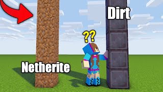 I Fooled This Girl by SWAPPING Netherite And Dirt Textures in Minecraft .....