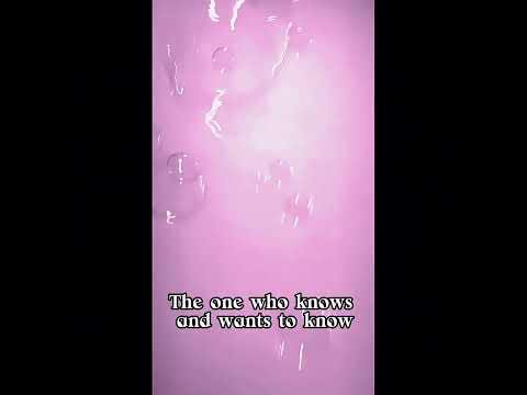     آنکس که بدان