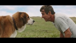 Собачья жизнь (2017) - Бейли возвращается домой (10/10) | КИНОМиг