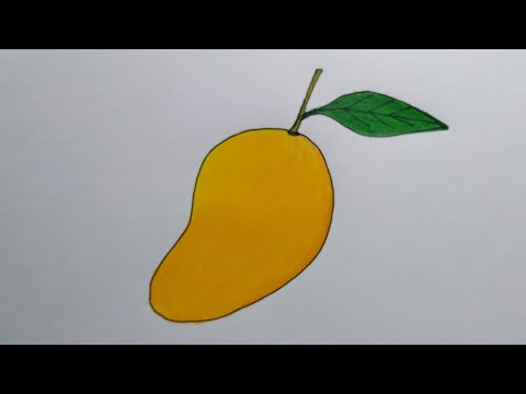 สอน​วาดรูป​มะม่วงแบบง่าย​ | How​ to​ draw​ mango​ easy​ | My​ Sky​ Channel.