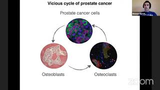 Dr. Etienne Baratchart - From bone remodeling to cancer evolution