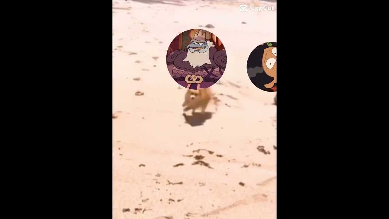 Poor Marcy Edit Amphibia Marcywu