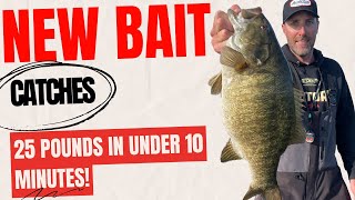 This amazing bait catches fish!  25 pounds in under 10 minutes!