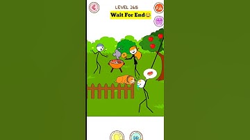 Thief puzzle level 265