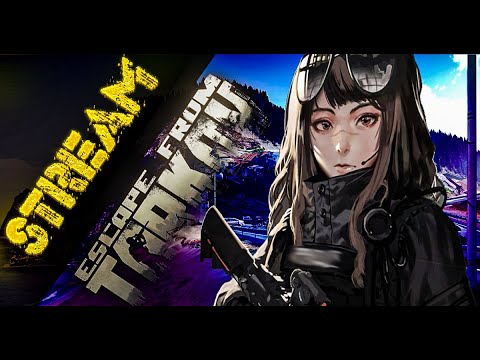 Escape from Tarkov: Денежный Марафон!!!