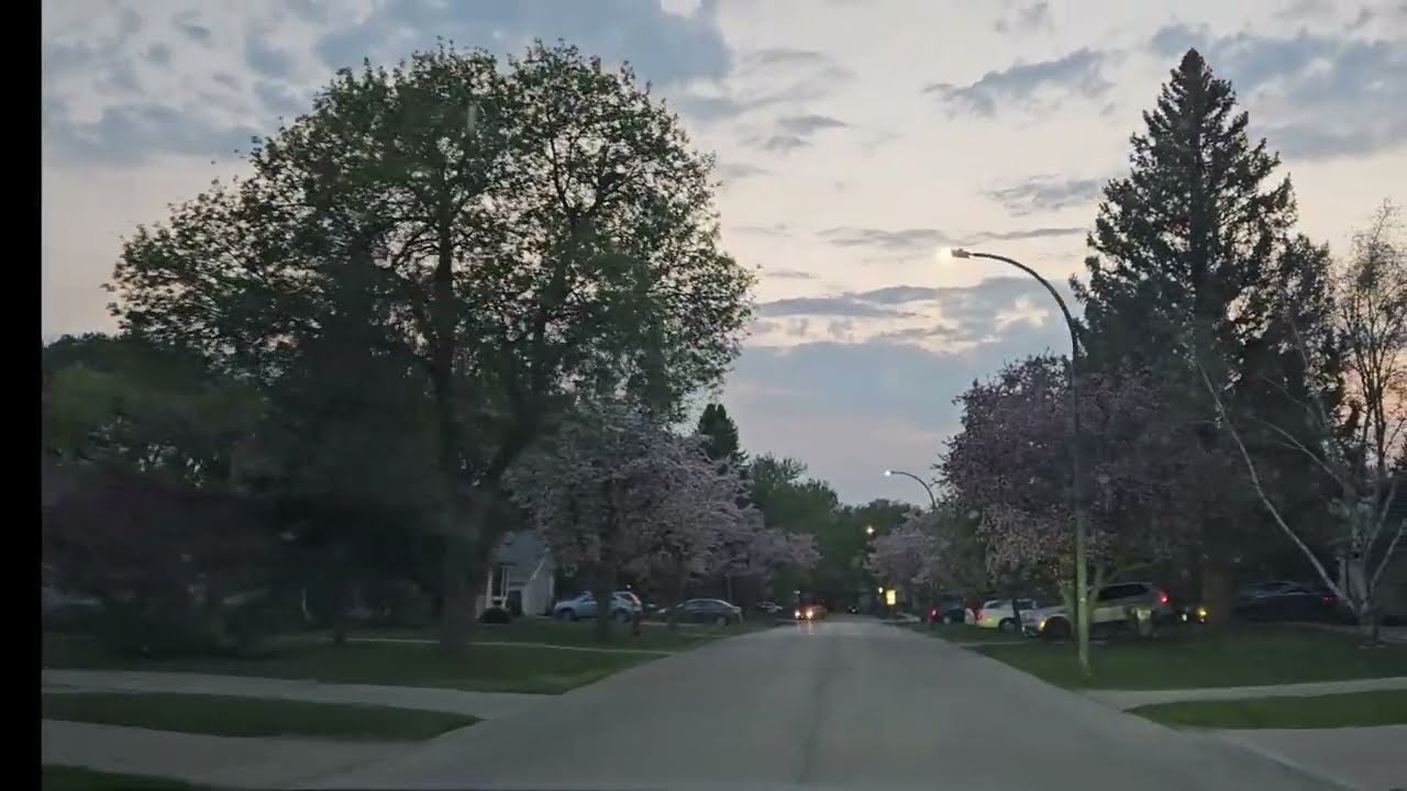 Spring In Winnipeg Winnipeg’s Spring Glow: Sakura at Sunset - YouTube
