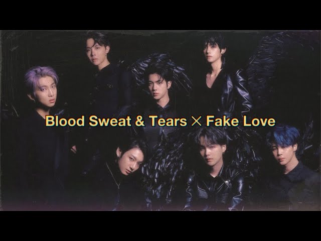 BTS Blood Sweat & Tears X Fake Love [Studio Version Remix] (PTD On Stage) class=