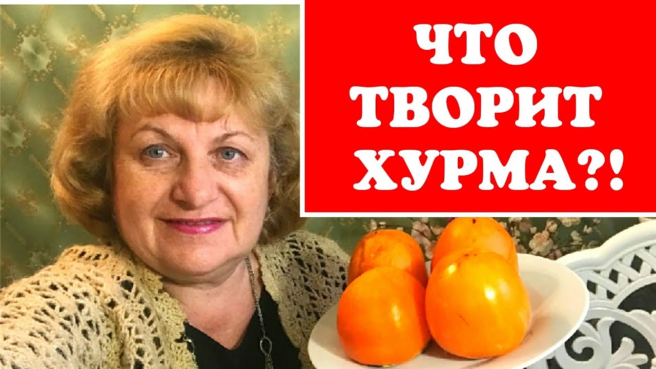 Что творит хурма в это нелегкое время !