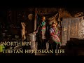 Himalaya, Tibetan | Herdsman Life |  Full Documentary 西藏生活 | 4K