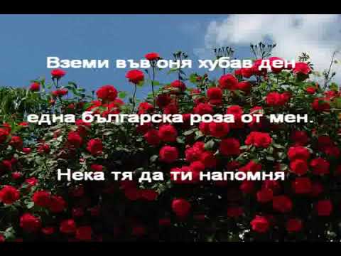 В ЧАСА ПО МУЗИКА - Една българска роза - музика Д. Вълчев, текст Н. Вълчев, изпълнява П. Христова