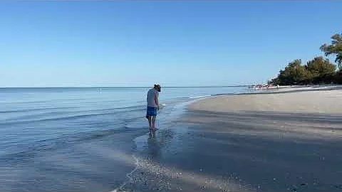 Part 3 of Robb's Friday Morning Beach Walk at Delnor-Wiggins 03.04.22