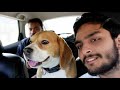 Patnitop (One Day Trip) | 109Km from Jammu to Patnitop | Jammu & Kashmir