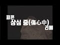 피콘 / 상심 중(傷心中) feat.리메 [한국어 가사, 독음]