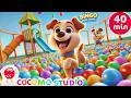 BINGO Song Compilation 40 Minutes 🐶 | Early Learning Fun for Toddlers
