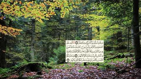 259- page سعد الغامدي - -سورة إبراهيم -Abraham (Ibrahim)14
