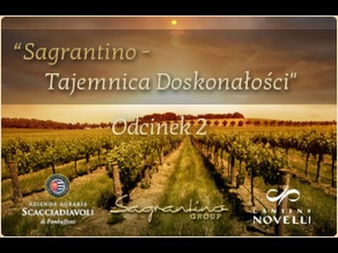 Wideo: Winnice Montefalco i Sagrantino w Umbrii we Włoszech