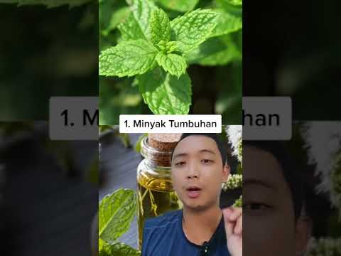 Video: Adakah pudina menghalau tupai tanah?