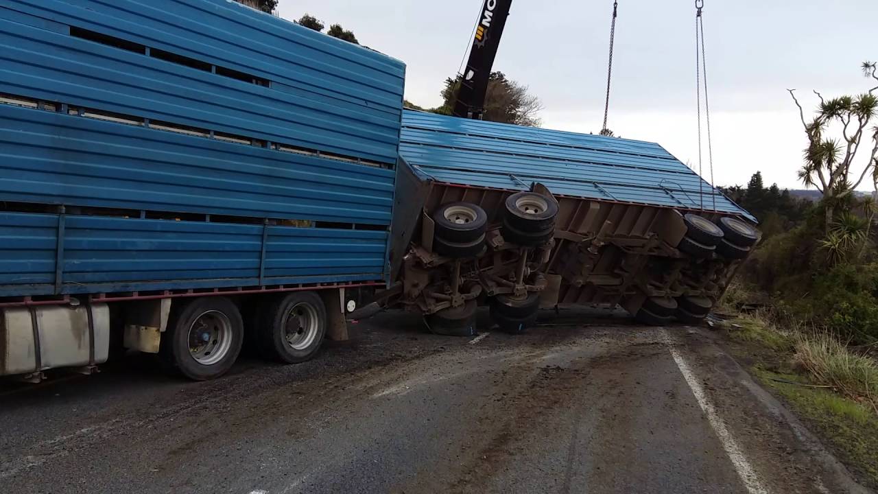 cattle truck  crash YouTube 