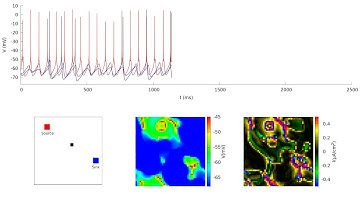 Clusters on Network of Subthreshold-oscillating/spiking Neurons g = 1 mS/cm^2