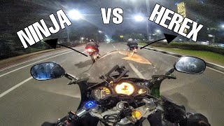 Ngga mau kalah! HEREX Menghabisi Ninja RR | Herex VS Ninja RR | Ninja RR VLOG