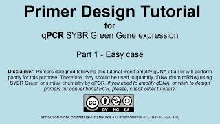 Primer Design for qPCR Gene Expression (SYBR Green) | Part 1 Easy Case screenshot 3
